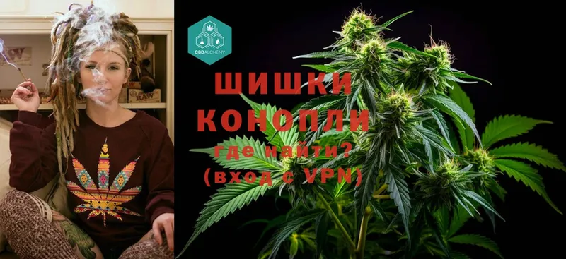 Конопля SATIVA & INDICA  купить  сайты  Липки 